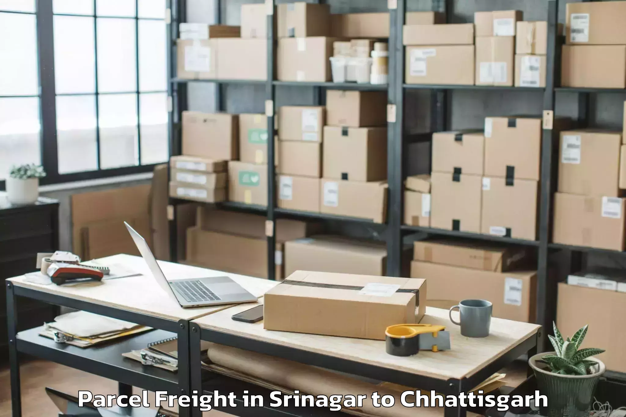 Book Your Srinagar to Bilaspur Parcel Freight Today